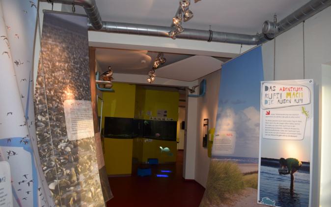 Blick vom Eingang der Ausstellung zum Aquarium