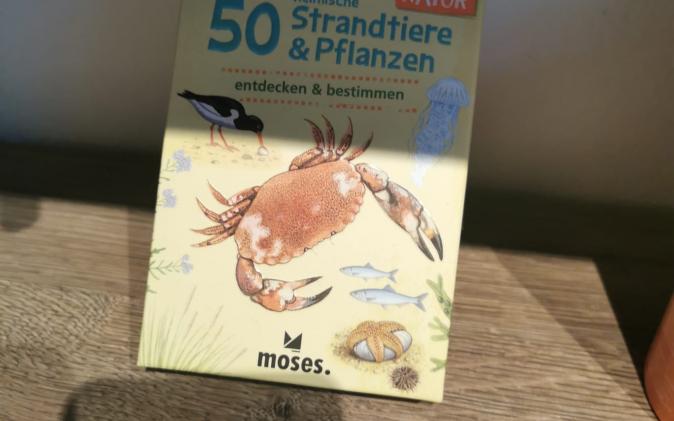 50 heimische Strandtiere und Pflanzen - € 8,95