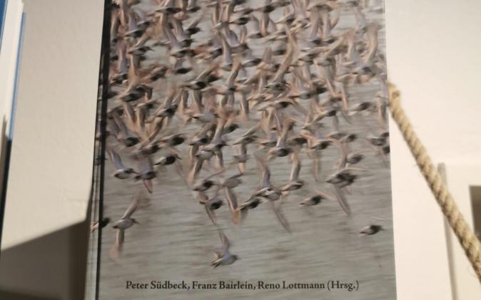 Zugvögel im Wattenmeer - € 24,50